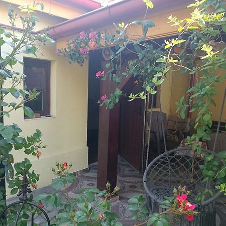 Appartement Casa Bunicilor à Cisnădie Extérieur photo